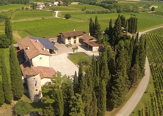 vinodlare Visintini Friuli Domän